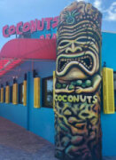 Coconuts on the Beach