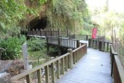太平蝙蝠洞、百蝠吊橋及登山步道