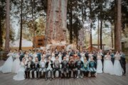 2023阿里山神木下婚禮