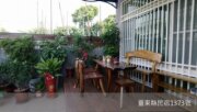 台東幸運草民宿