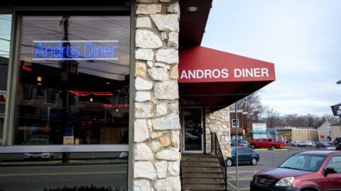 Andros Diner