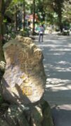 新莊青年公園(牡丹心生態公園)