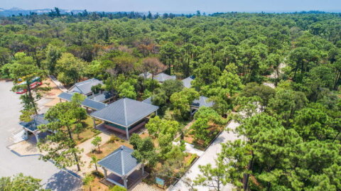 金門國家公園中山林區
