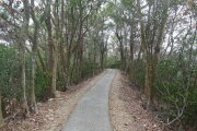臥龍坡步道