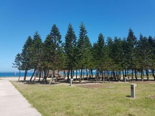南田海岸親水公園