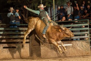 Buffalo Chip Saloon and Steakhouse