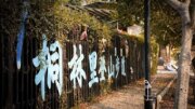 桐林里登山步道