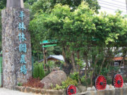 平林休閒棧民宿
