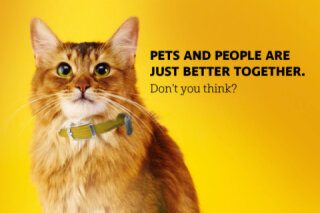 Humane Society of the Pikes Peak Region