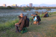 華江雁鴨自然公園