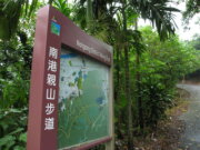 南港山系-南港山縱走親山步道