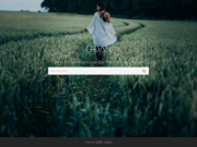 O-DAN: Cross-Search Engine for High-Quality Free Stock Photos