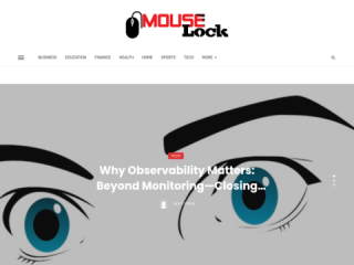 Mouselock.co: Secure Your Computer with Automated Surveillance