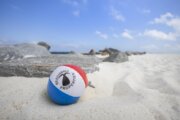 Beachball Properties