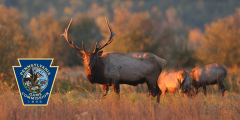 Middle Creek Wildlife Management Area