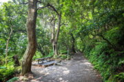七星山系_天母古道親山步道