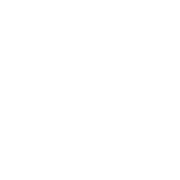 Sqwires