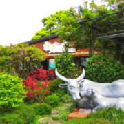 梅居休閒農場
