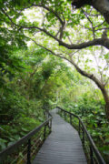 芝山文化生態綠園(芝山岩展示館)