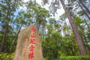 金門國家公園中山林區