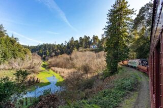 The Skunk Train