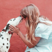 Spay Neuter Clinic: West Phoenix