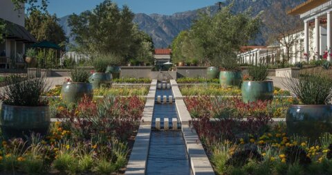 The Huntington Library, Art Museum, and Botanical Gardens