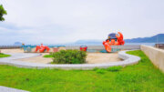 螃蟹主題公園