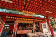 大里杙樹王公