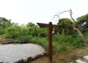 碧湖步道