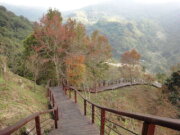 里佳賞楓步道