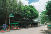 新屋綠色走廊
