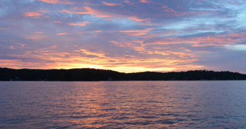 Lake Martin Paint &amp; Body LLC