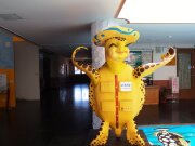 北海観光案内センター