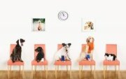 West Park Animal Hospital