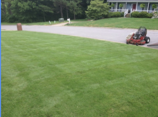 Edge To Edge Lawn &amp; Landscape
