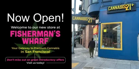 SDRC - San Diego Recreational Cannabis Dispensary