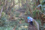 田中森林公園登山步道