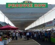 The San Jose Flea Market