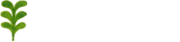 M Café