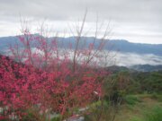 馬拉邦渡假山莊