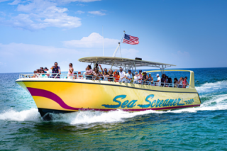 Sea Screamer