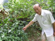 大菁休閒農場