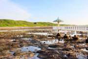 小池角雙曲橋
