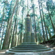 樹靈塔