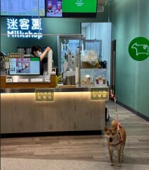 迷客夏-雲林土庫店