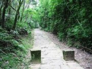 五指山系-大崙頭尾山親山步道