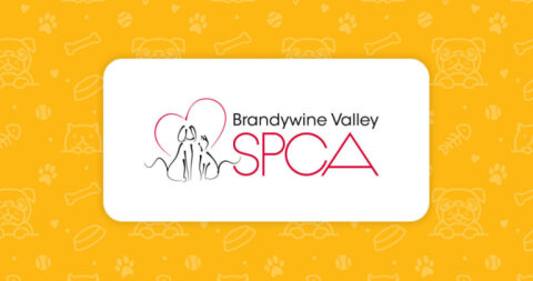 Brandywine Valley SPCA | Pennsylvania - West Chester