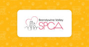 Brandywine Valley SPCA | Pennsylvania - West Chester