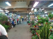 板橋花市